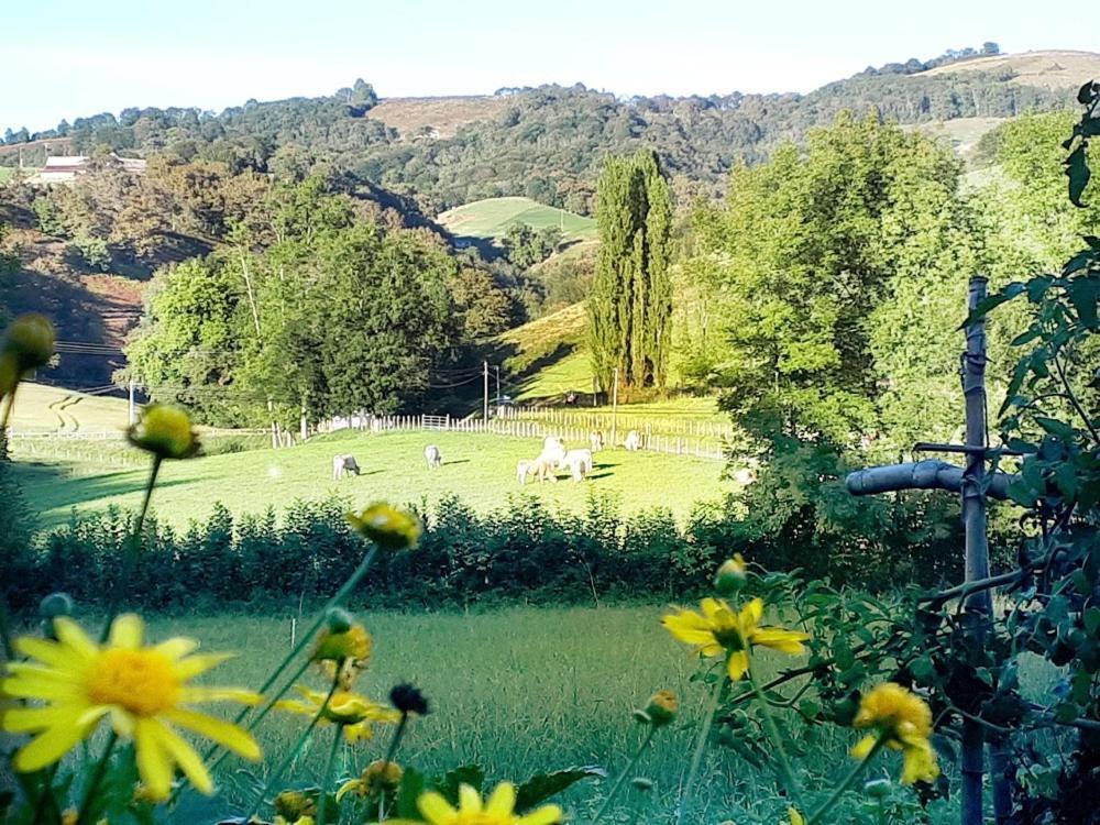 "Chez Naty" Chambres D'Hotes Au Pays-Basque Cheraute Dış mekan fotoğraf